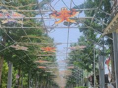 -南宫五洲植物乐园