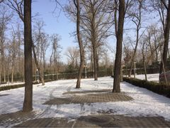 顺鑫绿色度假村-顺鑫绿色度假村