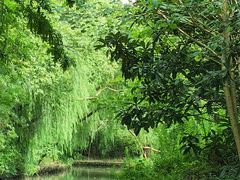 -同里国家湿地公园