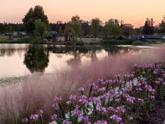 -上海植物园-4号门售票处