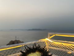 -阿军排档·烧烤