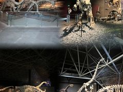 -世界恐龙谷景区