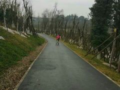 -白鹭湾湿地公园