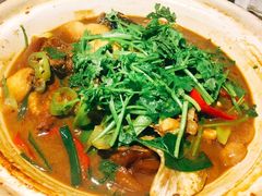 -青叶202都市餐厅(迪诺水镇店)
