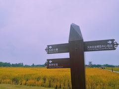 -中国天府农业博览园