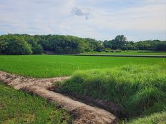 -良渚古城遗址公园