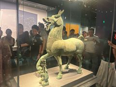 -广西壮族自治区博物馆