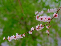 -长春公园(普阳街道)