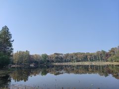 -长广溪湿地公园