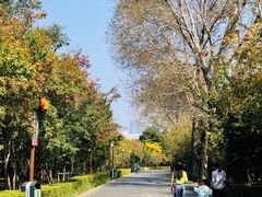 -长春市南湖公园