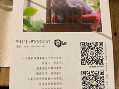 -No Cat 手碟