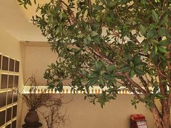-静耳元気采耳·按摩·SPA(万象前海店)