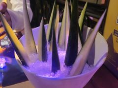 -胡桃里乐队酒馆(广州塔店)