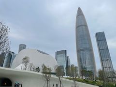 -深圳湾万象城(南山店)