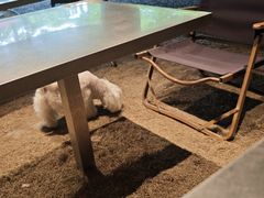 -J Create城市露营咖啡·简餐·宠物(上海动物园店)