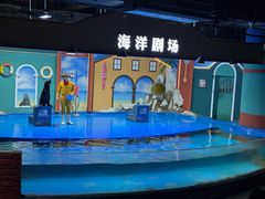 -重庆欢乐海底世界