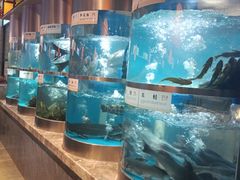 -老船舫·现做活鲜鱼馆(东郊记忆店)