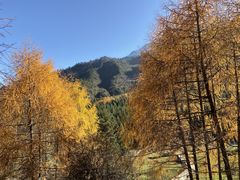 -硗碛藏寨·神木垒景区