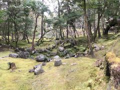 -西芳寺(苔寺)