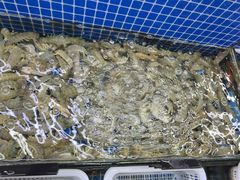 -红月湾海鲜饭店•沙滩海景(双月湾店)