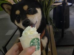 -星巴克(深圳领航里购物中心店)