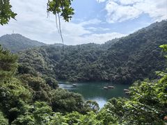 -鼎湖山风景区