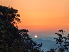 -缙云山景区
