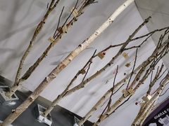 -成都失恋馆