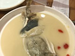 -肆月河豚·新淮扬(金融街店)