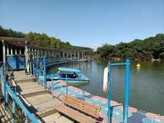 -上海吴淞炮台湾国家湿地公园