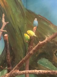 -宝燕乐园(闵行旗舰店)