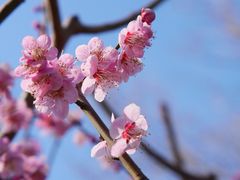 -云腾食府·云南菜