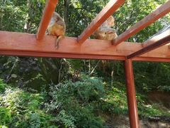 -宝天曼峡谷漂流