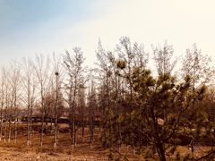 -大兴滨河森林公园