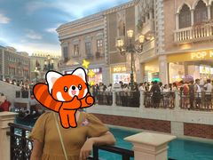-澳门威尼斯人综合度假区