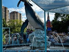 -海合安武汉极地海洋公园