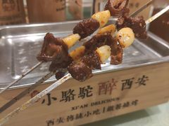 -福苗小骆驼烧烤(大唐不夜城店)