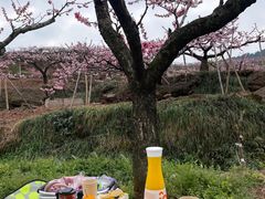 -成都利兹影音酒店(世纪城新国际会展中心店)