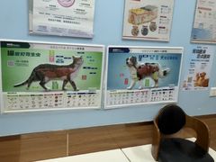 -瑞派·关忠动物医院·异宠专科·犬猫肿瘤·皮肤专科(望京店)