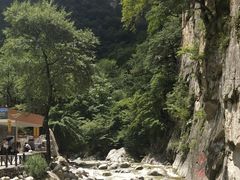 -青峰峡国家森林公园