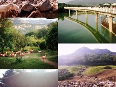 -栈桥景区