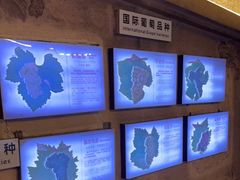 -青岛葡萄酒博物馆