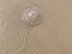 -秦皇岛阿尔卡迪亚滨海度假酒店