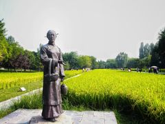 -北坞公园