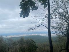 -帽儿山国家森林公园