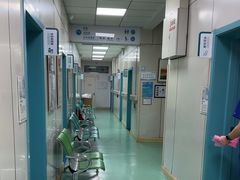 -北京观赏动物医院·24小时大型综合·猫专科·异宠专科