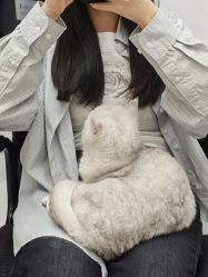 点击看大图 -熙.Hair 丨专注女子中长发丨