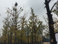 -百林公园-两江幸福广场