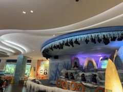 -帝企鹅自助餐厅•儿童岛•真企鹅(长隆企鹅酒店)