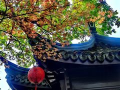 -上海醉白池公园